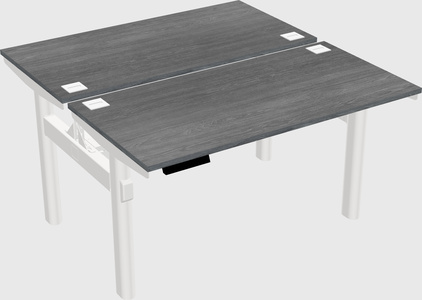 Shared electric desk