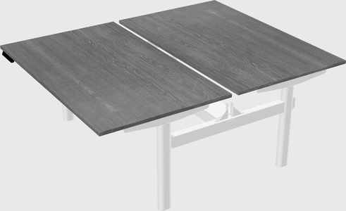 Shared electric desk