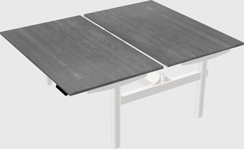 Shared electric desk
