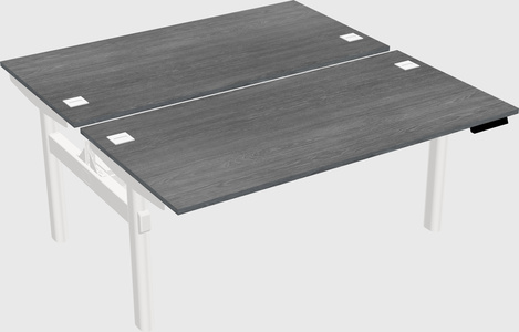 Shared electric desk