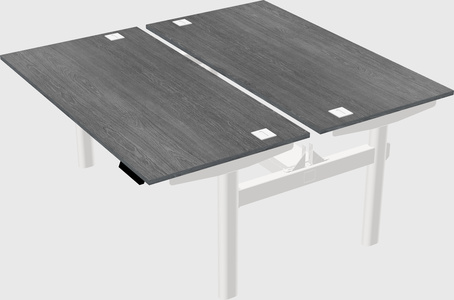 Shared electric desk
