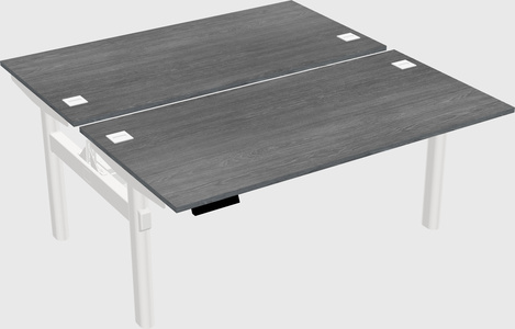 Shared electric desk