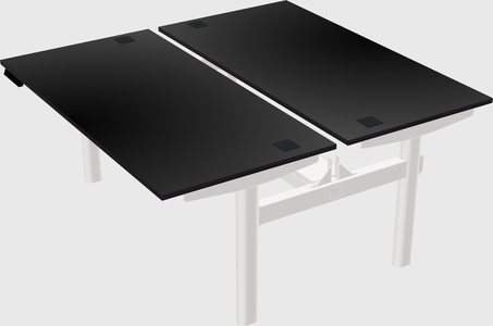 Shared electric desk