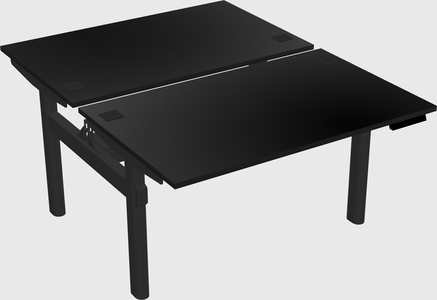 Shared electric desk