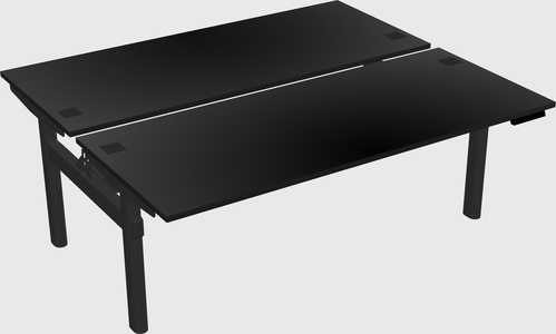 Shared electric desk