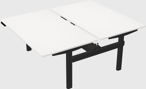 Shared electric desk