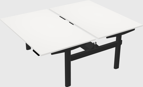 Shared electric desk