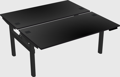 Shared electric desk