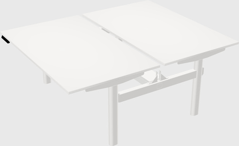 Shared electric desk