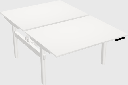 Shared electric desk