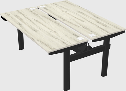 Shared electric desk