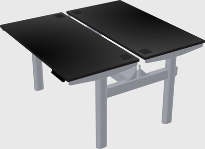 Shared electric desk