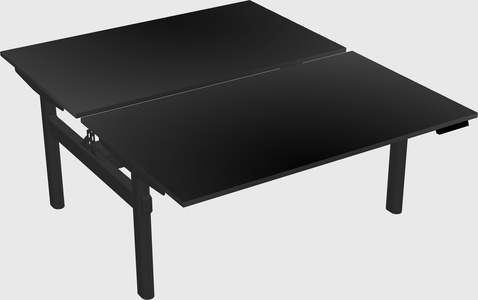 Shared electric desk