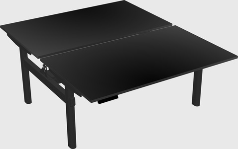 Shared electric desk