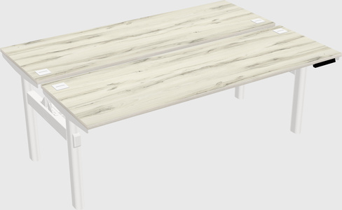 Shared electric desk