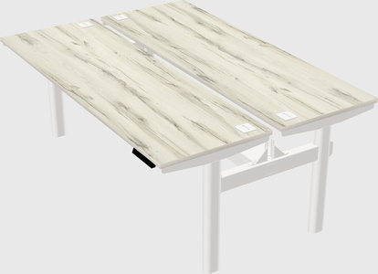 Shared electric desk