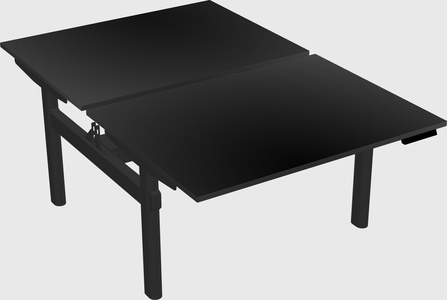 Shared electric desk