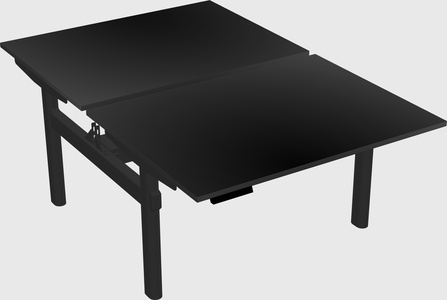 Shared electric desk