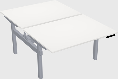 Shared electric desk