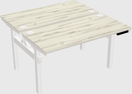 Shared electric desk