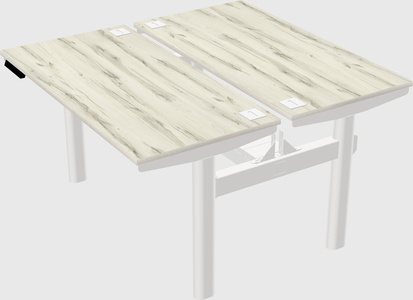 Shared electric desk