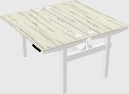 Shared electric desk