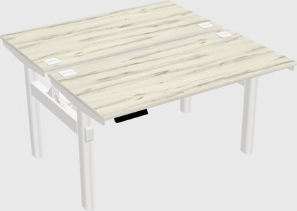 Shared electric desk