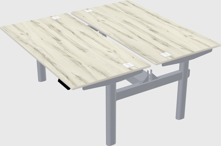 Shared electric desk