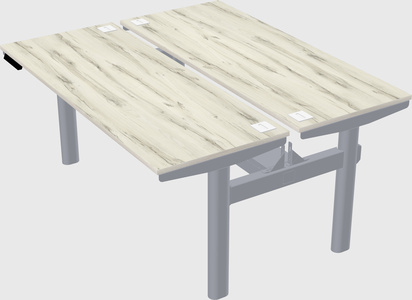 Shared electric desk