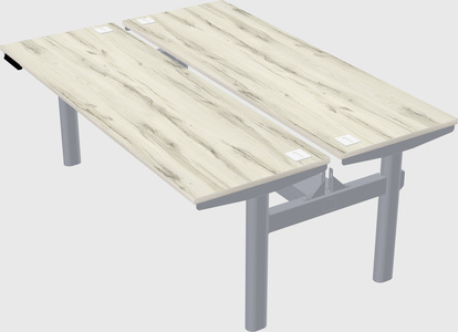 Shared electric desk
