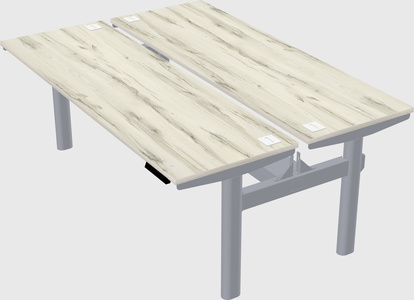 Shared electric desk