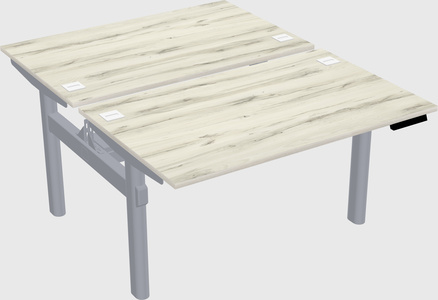 Shared electric desk