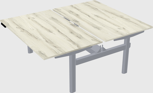 Shared electric desk