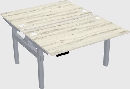Shared electric desk