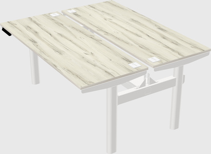 Shared electric desk