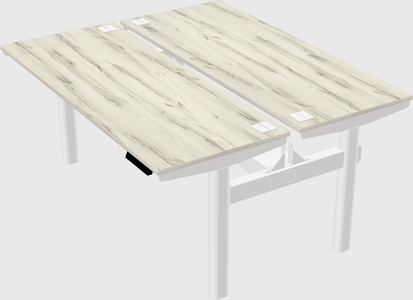 Shared electric desk