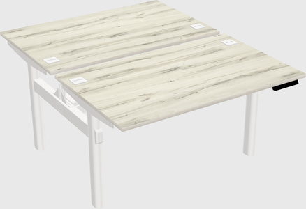 Shared electric desk