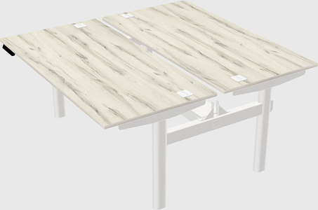 Shared electric desk