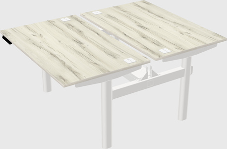 Shared electric desk