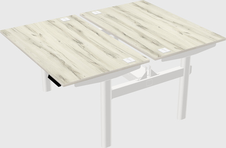 Shared electric desk