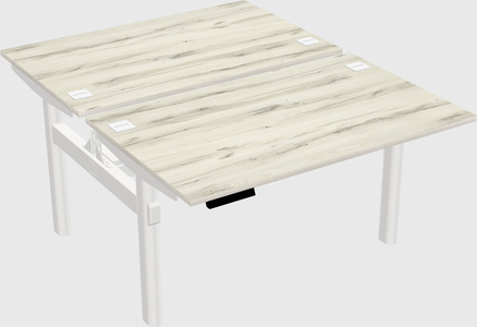 Shared electric desk
