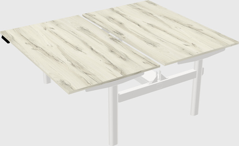 Shared electric desk