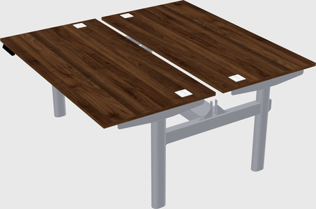 Shared electric desk