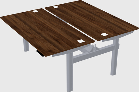 Shared electric desk
