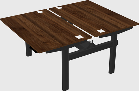 Shared electric desk