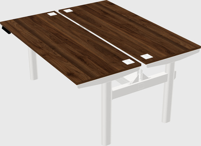 Shared electric desk