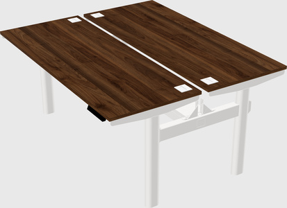 Shared electric desk