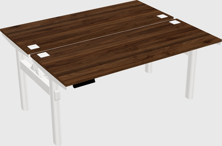 Shared electric desk