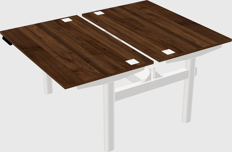 Shared electric desk