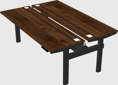 Shared electric desk